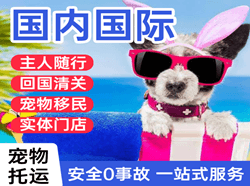 阿鲁科尔沁航空托运国际宠物托运 【国